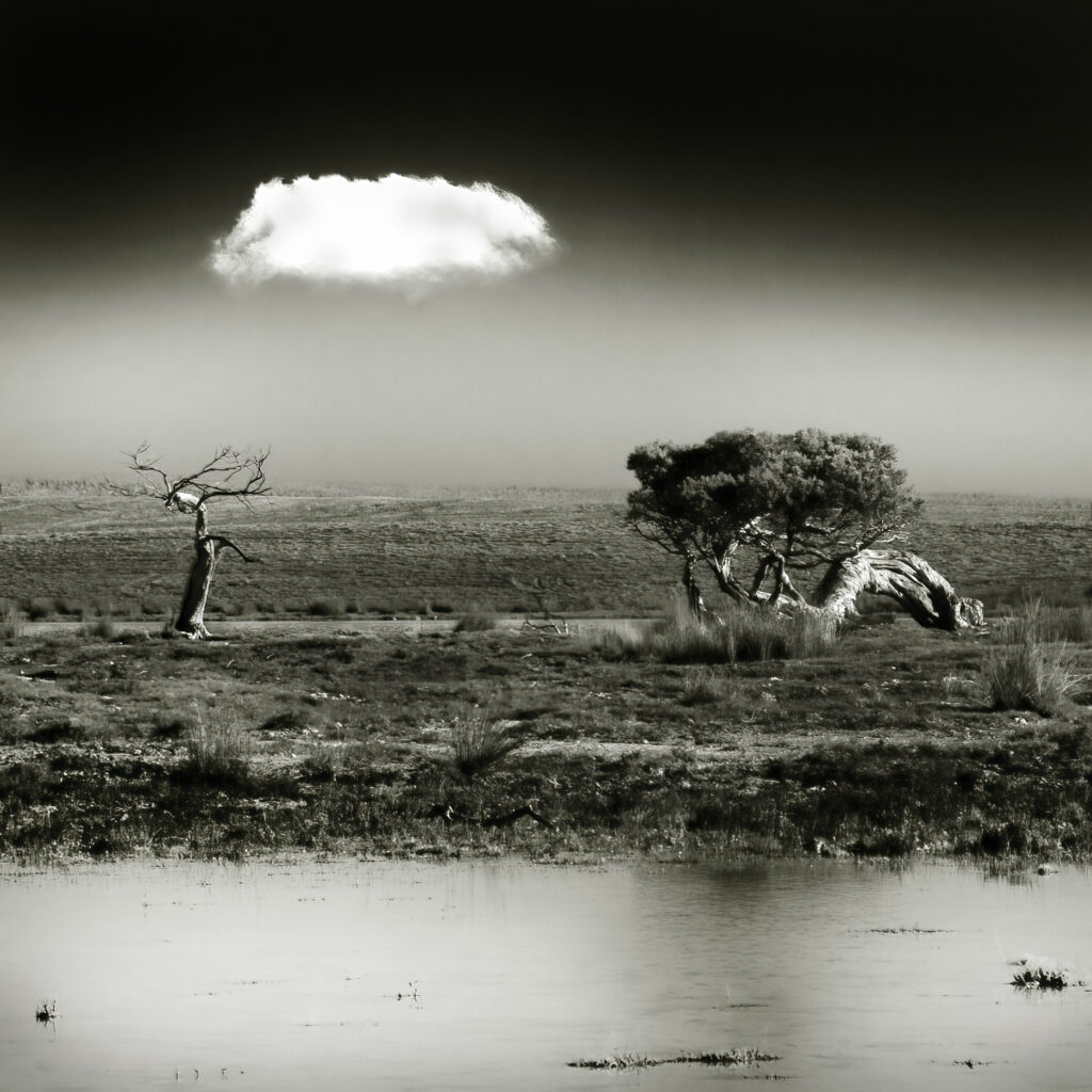 The Cloud 2, John Gitsham