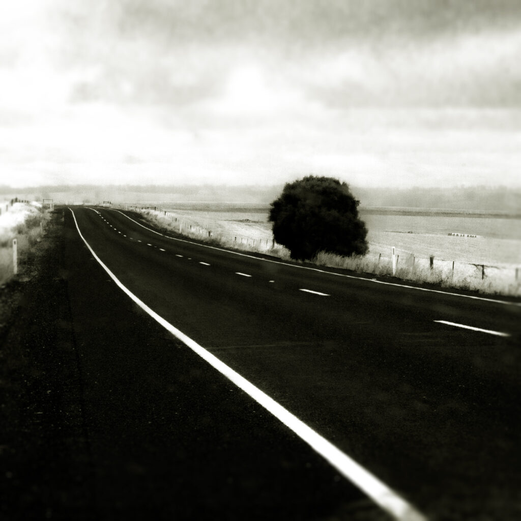 One tree road small, John Gitsham