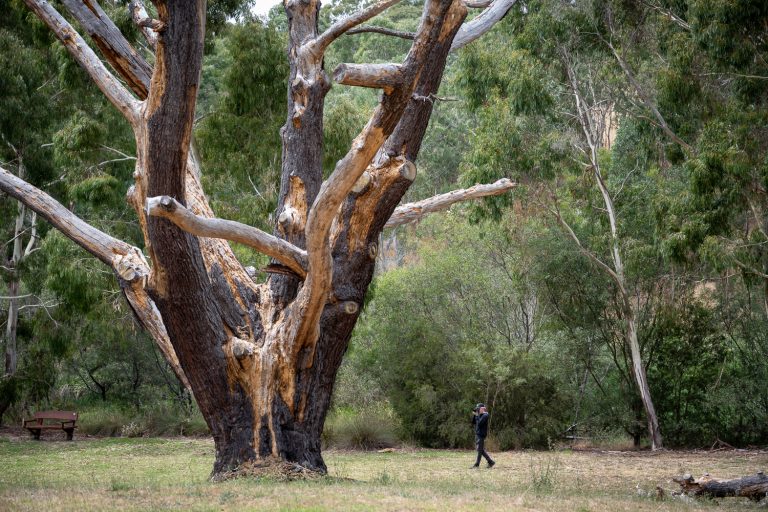 John Gitsham Photography Workshop